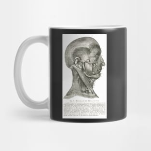 Muscles of the Face and Neck, 19th century illustration Mug